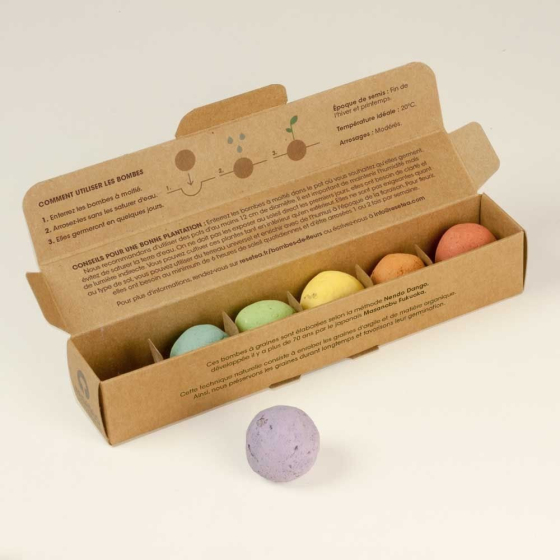 Pack de 6 bombes de graines de fleurs