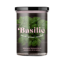 Potager de basilic pour la cuisine