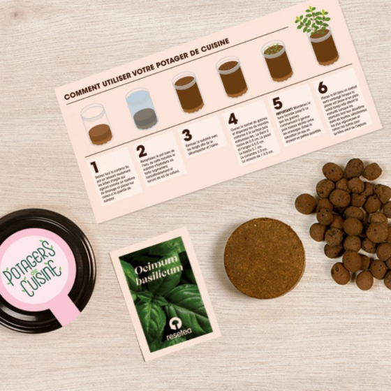 Potager de basilic pour la cuisine