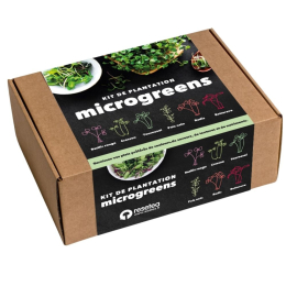 Kit d'autoculture de micro-pousses