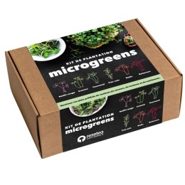 Kit d'autoculture de micro-pousses