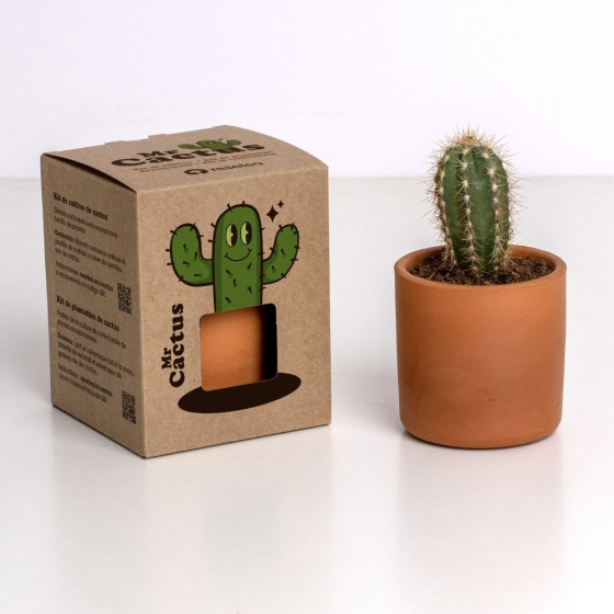Kit de culture Mr Cactus