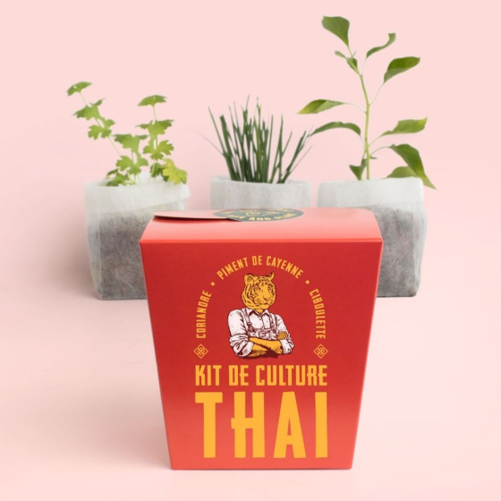 Kit de culture Thaï