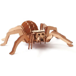 Maquette 3D - Araignée
