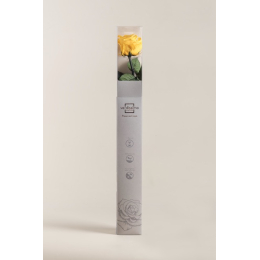 Coffret rose premium Jaune