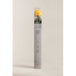 Coffret rose premium Jaune