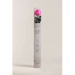 Coffret rose premium rose fuschia