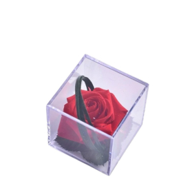 Rose rouge Melchor stabilisée