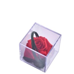 Rose rouge Melchor stabilisée