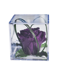 Rose pourpre Melchor stabilisée