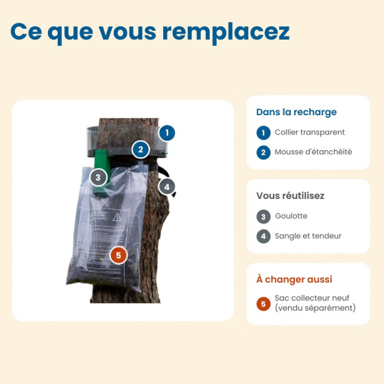 Kit de rechange Procerex - Mousse et collier - Circonférence 1,75 m