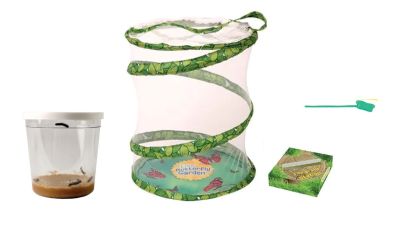 Composition du kit elevage de papillons