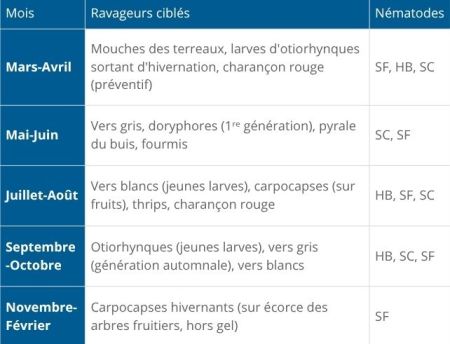 calendrier traitement nématodes