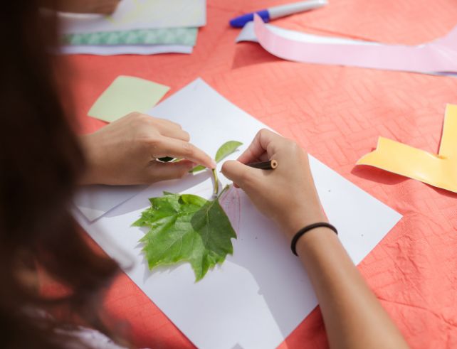 activités avec des feuilles