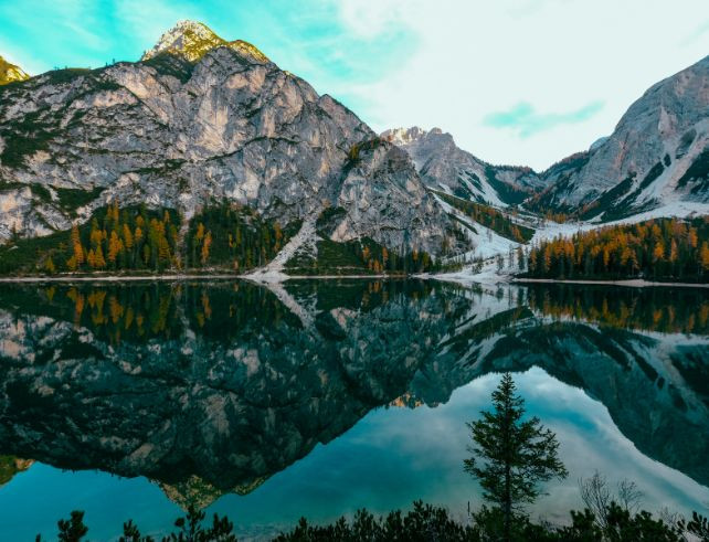 Comparatif des meilleurs pièges photographiques : lequel choisir ?