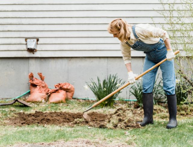 Nématodes pour le potager : quelles espèces choisir pour chaque ravageur ?