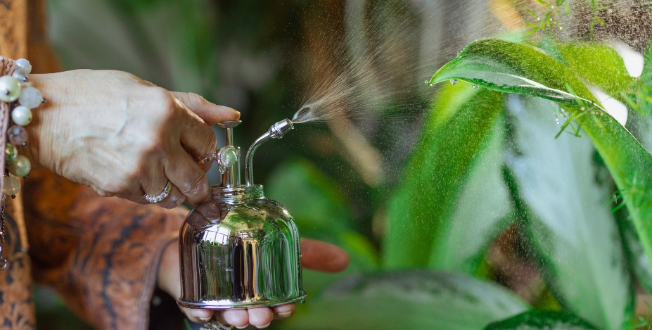 Protégez vos plantes naturellement